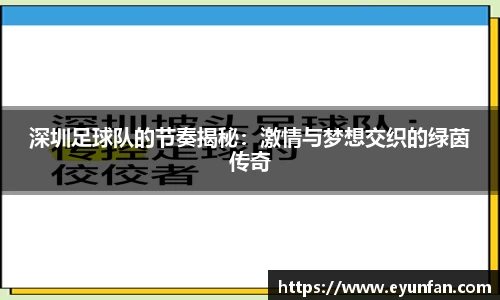 深圳足球队的节奏揭秘：激情与梦想交织的绿茵传奇